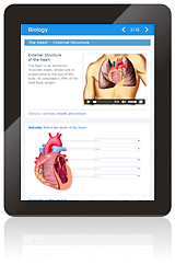 Biology interactive online lesson example