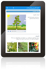 Sample Lesson in Arabic Lanuage