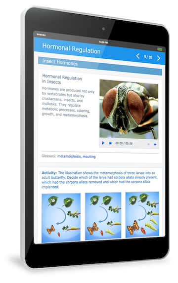 Learnetic SA - Educational ePublishing Services & Technologies