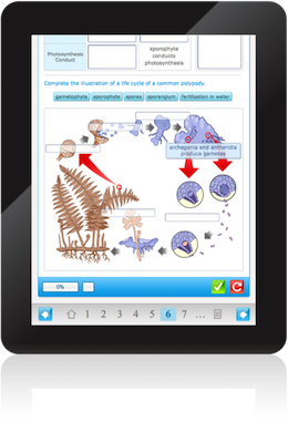 Screen from interactive science resources on eLearning platform