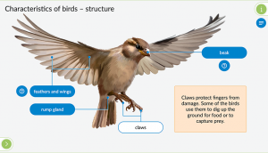 Biology - Interactive Charts of Natural Science