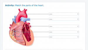 mCurriculum -  Biology content created in mAuthor